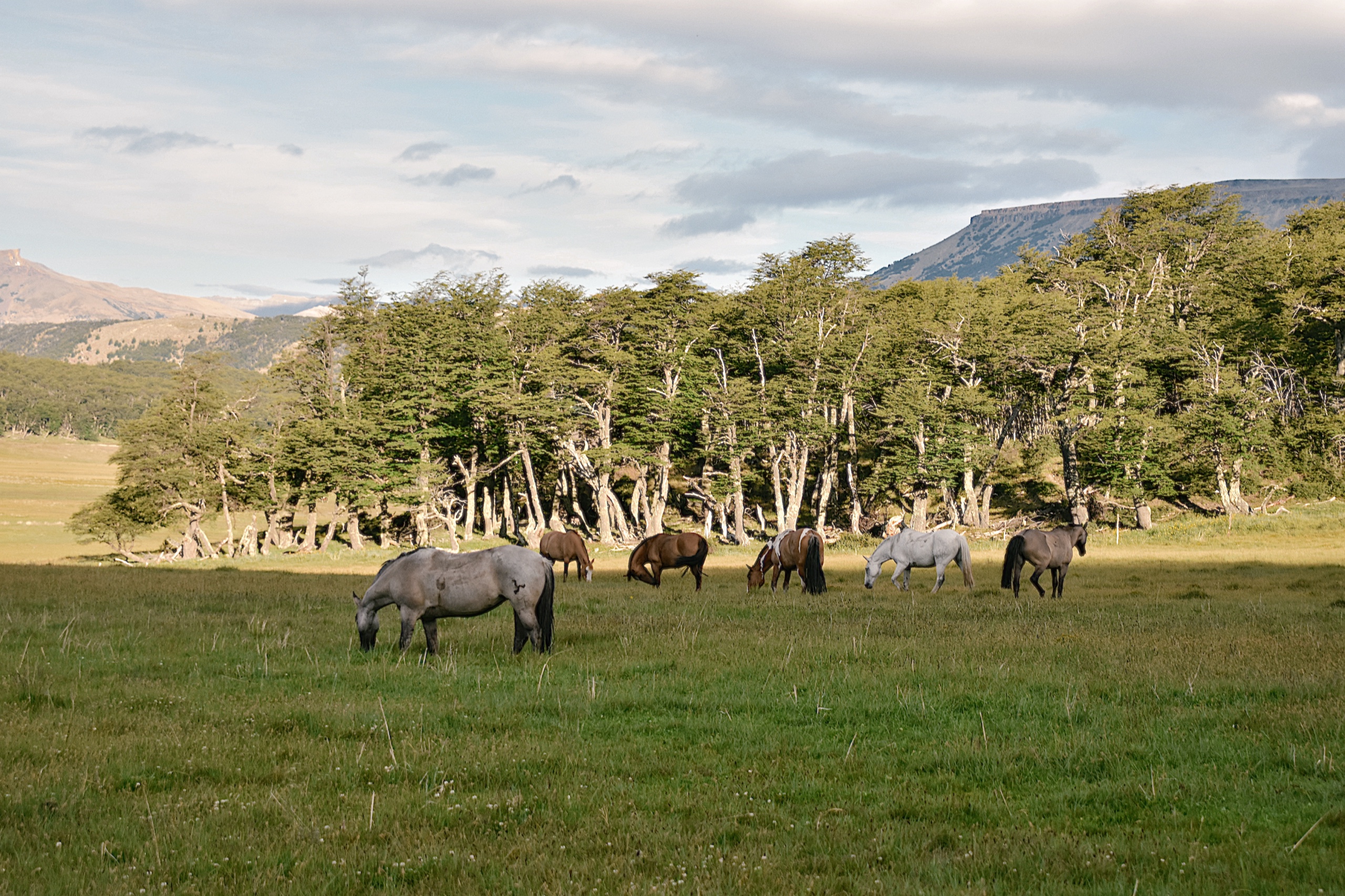 Paisaje Patagonia